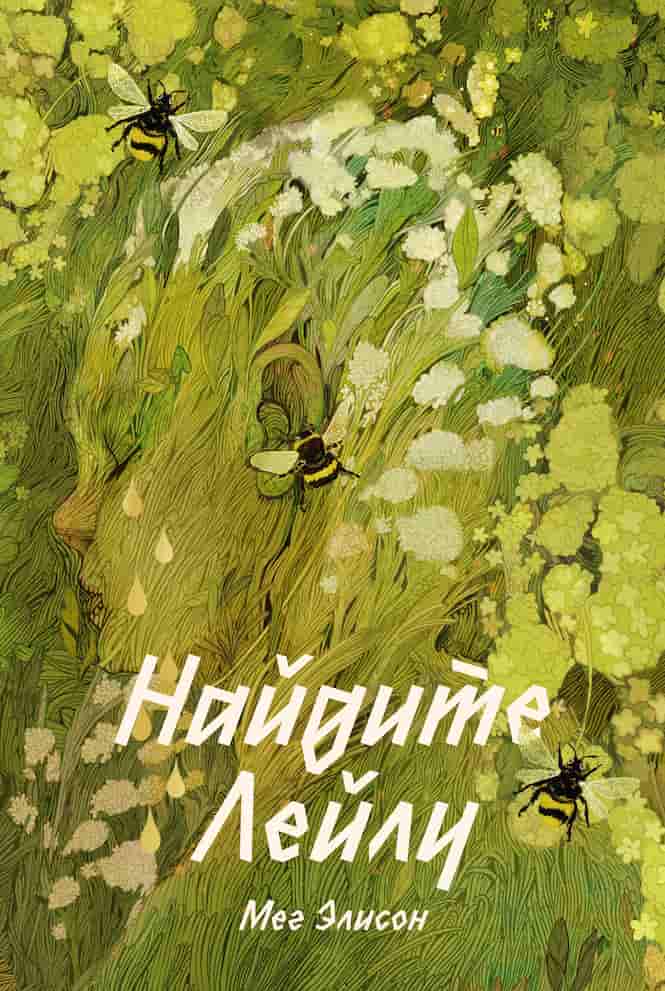 Мег Элисон. «Найдите Лейлу»